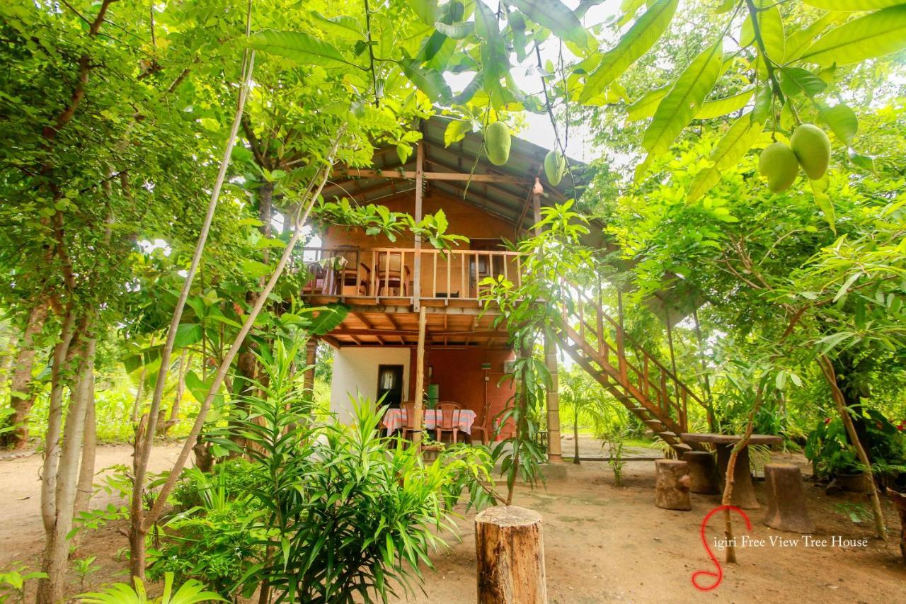 Sigiriya Free View Tree House & Villa 외부 사진