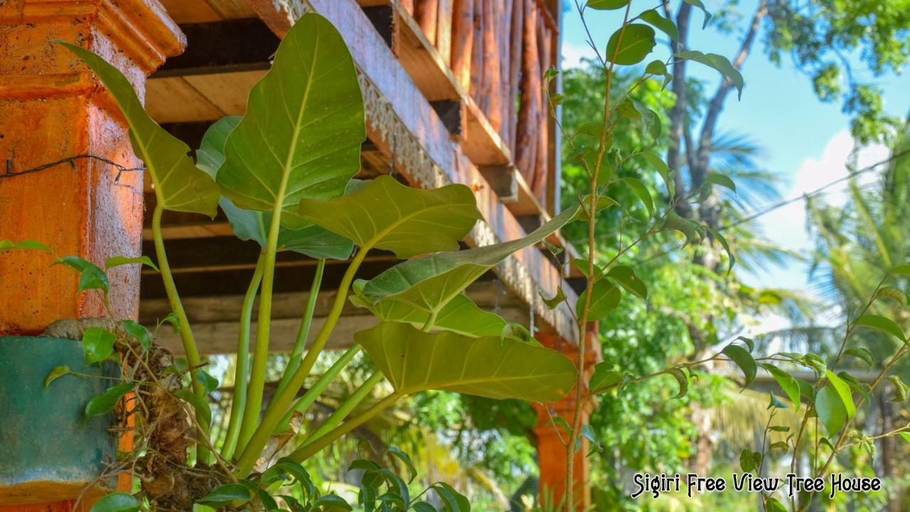 Sigiriya Free View Tree House & Villa 외부 사진