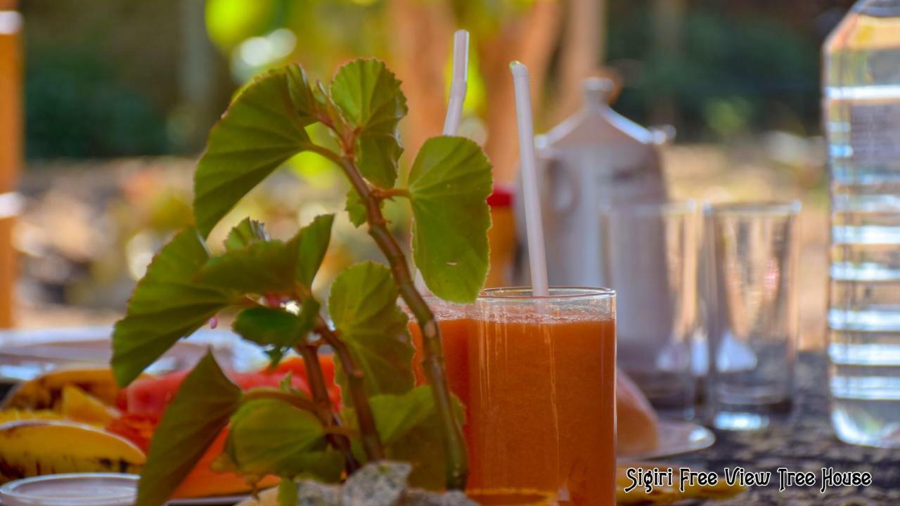 Sigiriya Free View Tree House & Villa 외부 사진