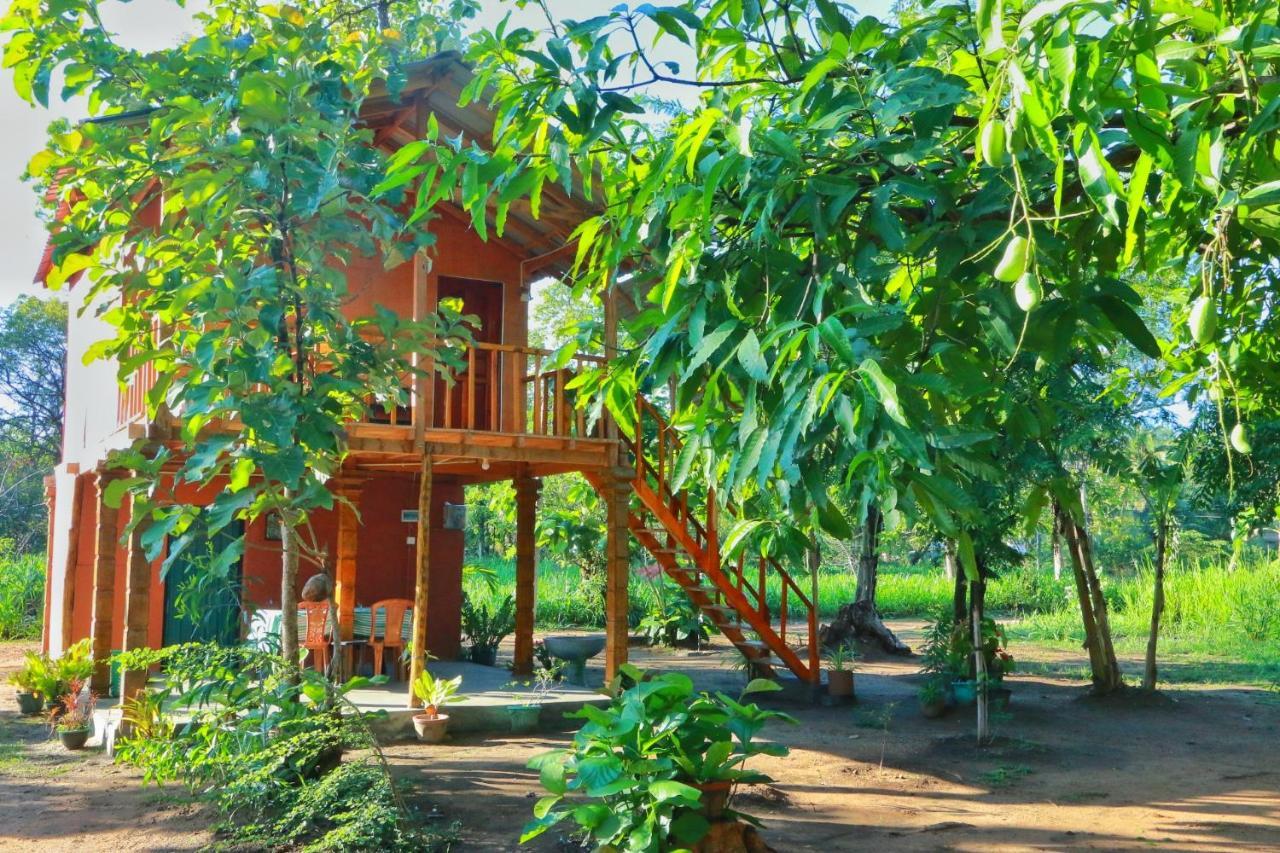 Sigiriya Free View Tree House & Villa 외부 사진