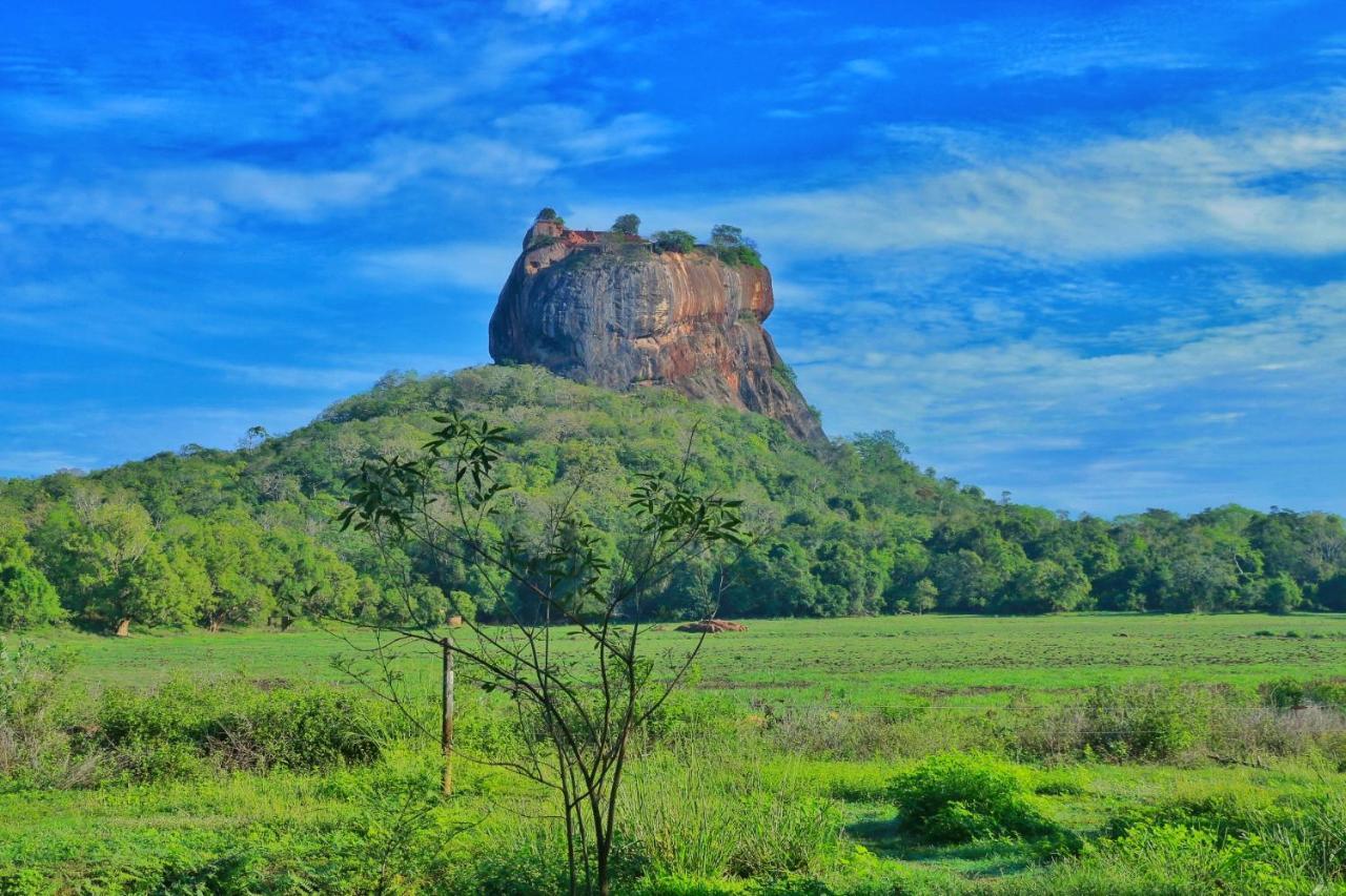 Sigiriya Free View Tree House & Villa 외부 사진