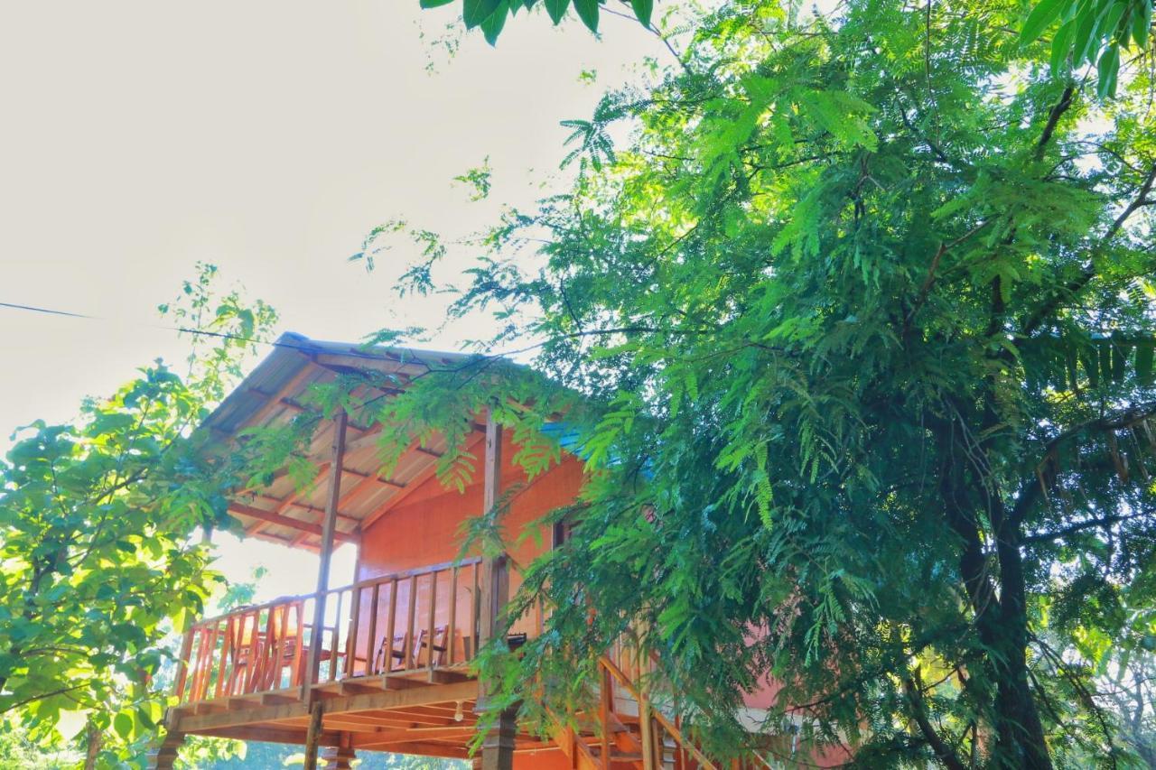 Sigiriya Free View Tree House & Villa 외부 사진