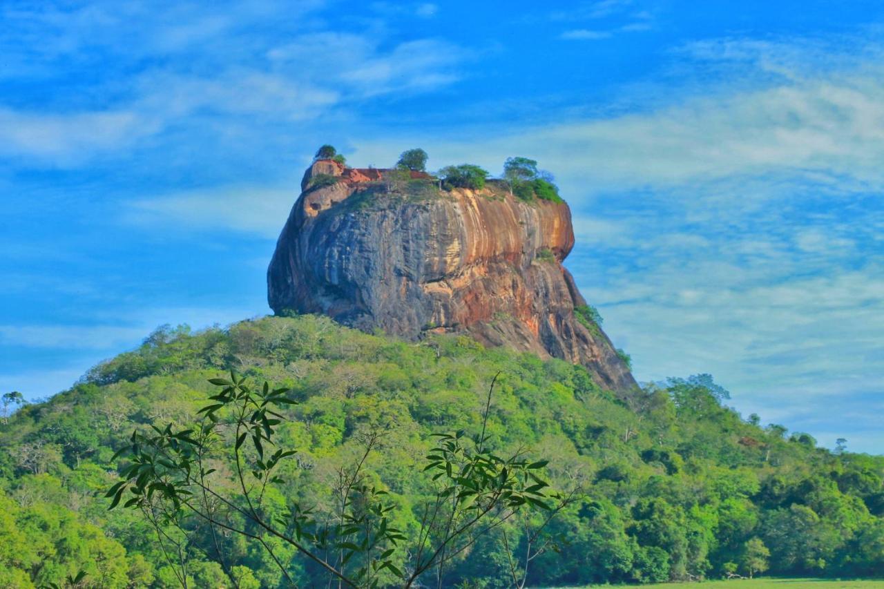Sigiriya Free View Tree House & Villa 외부 사진